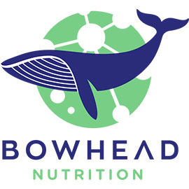 Bowhead Cover Image